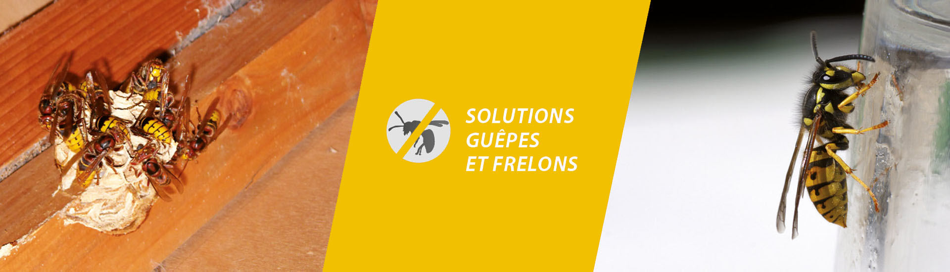 Extermination nuisibles