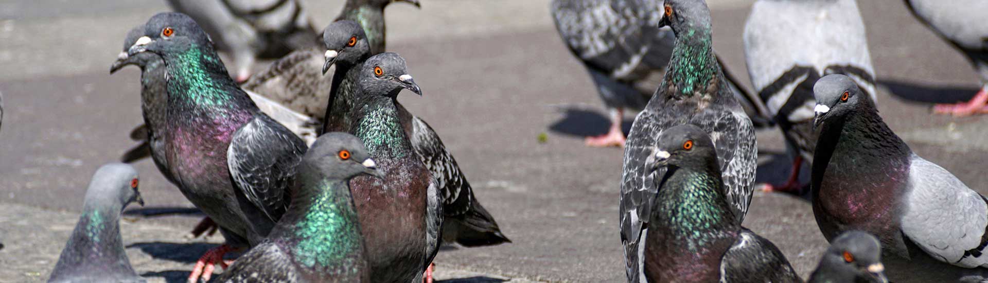 Protégez vos bâtiments